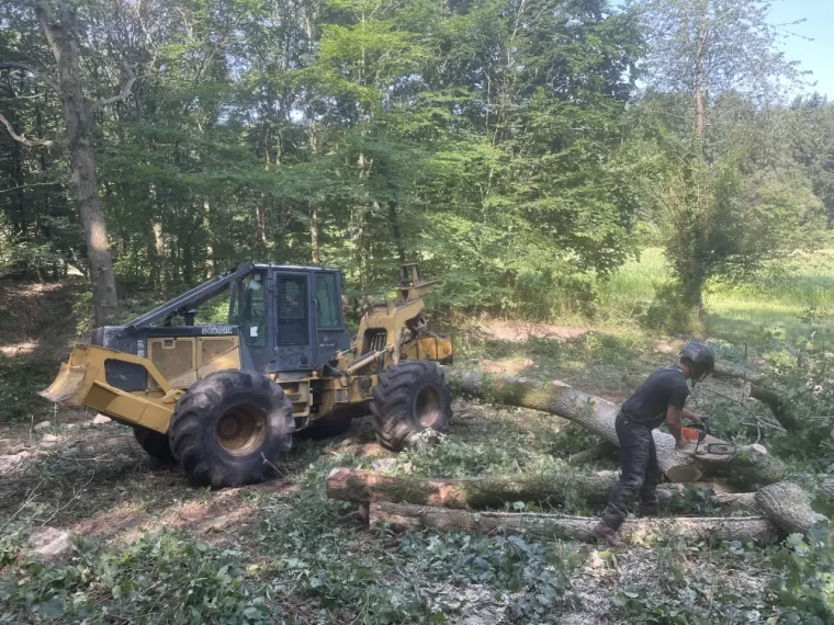 Intervention sur parcelle forestière, Compiègne, Hery and Son