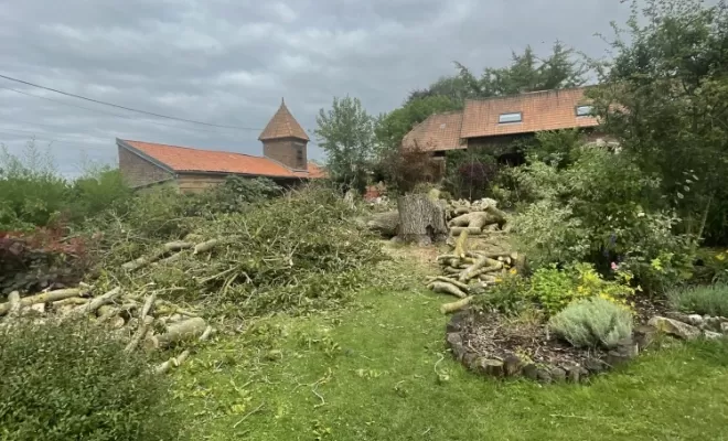 Volume impressionnant de bois et de branches