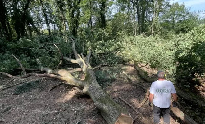 Intervention sur parcelle forestière, Compiègne, Hery and Son