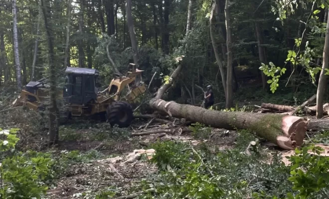 Intervention sur parcelle forestière, Compiègne, Hery and Son
