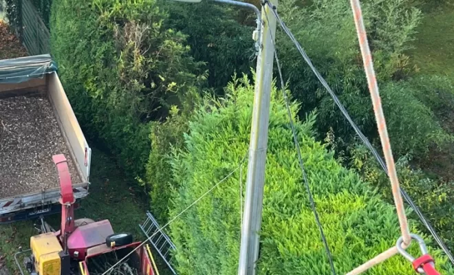 Démontage d'un bouleau en Tyrolienne à Attichy entre l'Oise et l'Aisne, Compiègne, Hery and Son