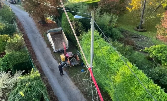 Démontage d'un bouleau en Tyrolienne à Attichy entre l'Oise et l'Aisne, Compiègne, Hery and Son