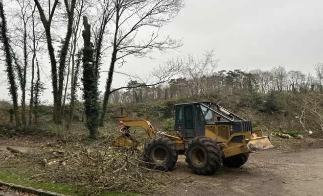 Démontage et abattage d'un arbre dangereux à Ménouville, Val d'Oise 95, Compiègne, Hery and Son