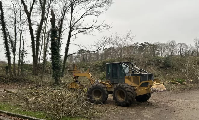 Démontage et abattage d'un arbre dangereux à Ménouville, Val d'Oise 95, Compiègne, Hery and Son