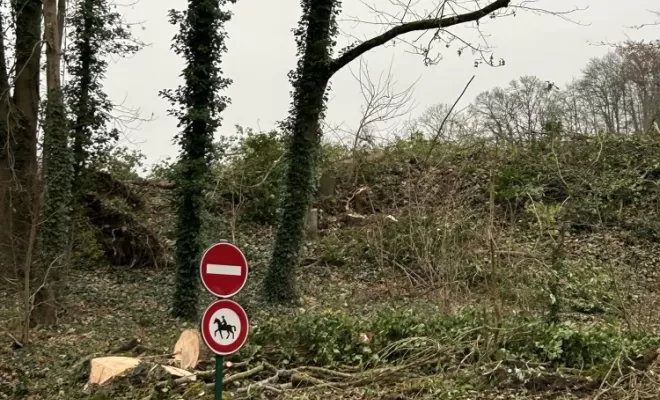 Démontage et abattage d'un arbre dangereux à Ménouville, Val d'Oise 95, Compiègne, Hery and Son