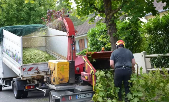 Élagage d'arbre, Compiègne, Hery and Son