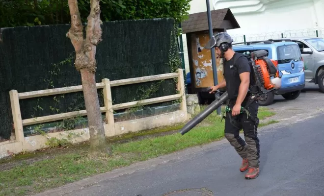 Élagage d'arbre, Compiègne, Hery and Son