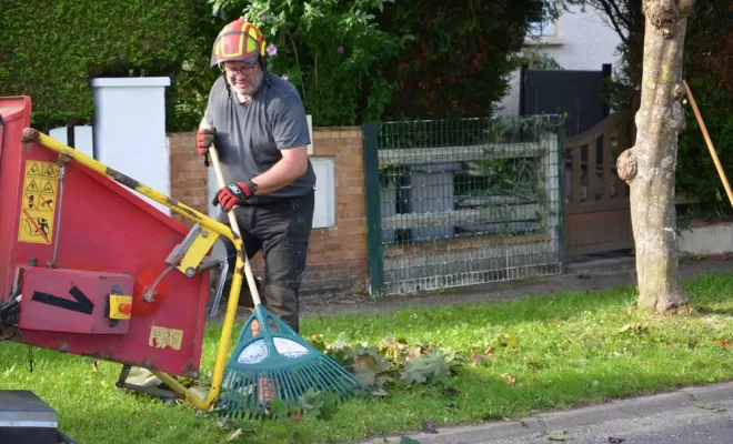 Élagage d'arbre, Compiègne, Hery and Son