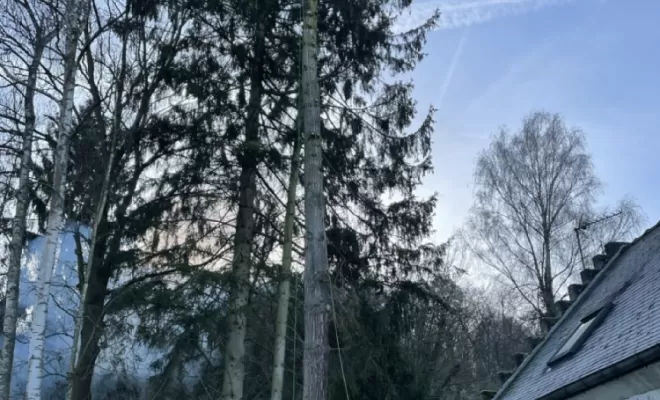 Démontage d'Epicéas proches de la maison, Compiègne, Hery and Son