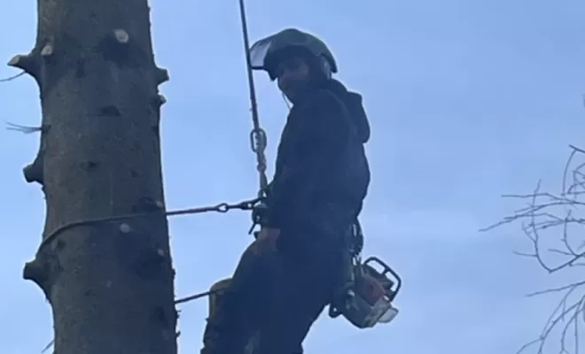 Démontage d'Epicéas proches de la maison, Compiègne, Hery and Son
