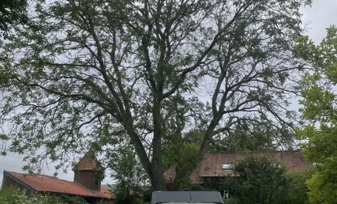 Démontage délicat d'un Noyer malade au coeur d'une habitation, Compiègne, Hery and Son