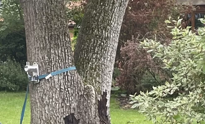 Démontage délicat d'un Noyer malade au coeur d'une habitation, Compiègne, Hery and Son