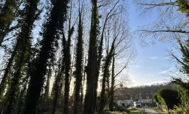 Démontages et abattages dans un parc en création à Béthisy St Pierre, Compiègne, Hery and Son