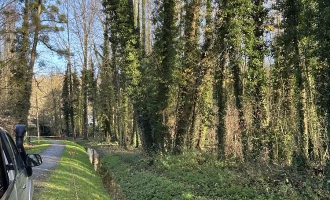 Démontages et abattages dans un parc en création à Béthisy St Pierre, Compiègne, Hery and Son