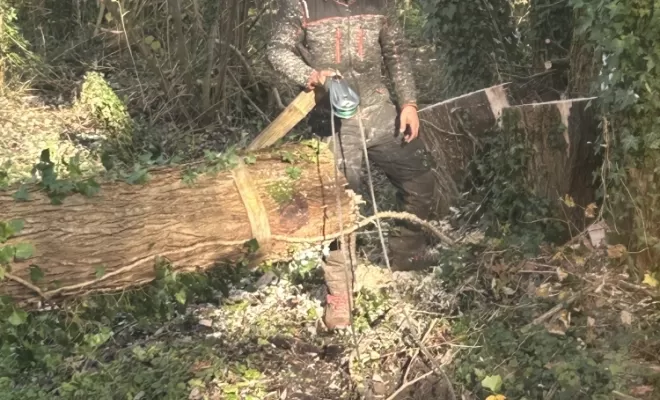 Démontages et abattages dans un parc en création à Béthisy St Pierre, Compiègne, Hery and Son